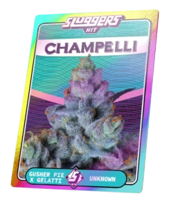 champelli cassis juiced pack sluggers 609124