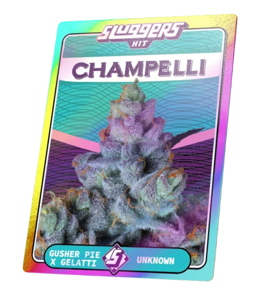 champelli cassis juiced pack sluggers 609124