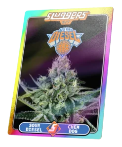 nyc diesel juiced pack sluggers 310722