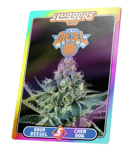 nyc diesel juiced pack sluggers 310722